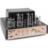 Fenton TA60 hybridní lampový stereo zesilovač