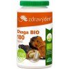 Zdravý den Chaga Bio 180 kapsúl