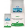 Farmina Vet Life dog Renal 12 kg