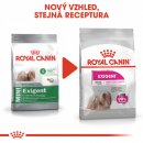 Royal Canin Mini Exigent 3 kg