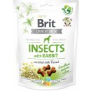 Maškrta pre psa Brit Care Dog Insects with Rabbit & Fennel 200 g