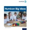 Numicon: Big Ideas (Steve Chinn,Val Willmott,Fiona Goddard,Liz Henning)(Brožovaná)