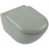 Villeroy & Boch Antao wc misa závesné bez oplachovacieho kruhu zelená 4674T0R8