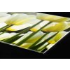 DIMEX | Plexisklo za kuchynskú linku PGT-06060-009 | 60 x 60 cm Biele tulipány + Plexisklo za kuchynskú linku DIMEX v rozmere 60 x 60 cm, Biele tulipány + Lepidlo zadarmo