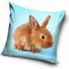 Carbotex Obliečka na vankúšik 40x40 cm - Hrdzavý zajačik