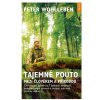 Tajemné pouto mezi člověkem a přírodou