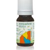Hanus Rozmarínová silica 10 ml
