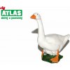 Atlas A Husa 7 cm
