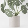 Monstera Magnetica – 3D Tlačená Dekorácia & Podložky pod Poháre Farba listov: zelená, Vyber typ kvetináča: Classic, Vyber farbu kvetináča: biela muted
