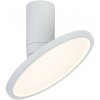 Rabalux 98071328 LED prisadené stropné svietidlo Ovidia | 20W integrovaný LED zdroj | 1370lm | 3000K