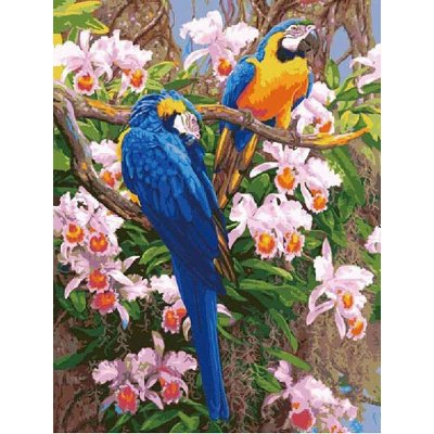 Maľovanie podľa čísiel Papagáje Ara DX337