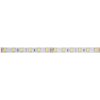 PN13700001 LED pás WW-CW 24V 14,4W 16mm IP20 - 5025 LED Panlux