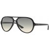 Ray-Ban RB4125 CATS 5000 601/32