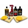 Meguiar's Paint Restoration Kit