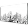 Obraz plexi Stromy rastlina príroda 100x50 cm