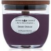 Aromatická sviečka malá, Berry Dream