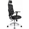 Ergonomické kreslo Diablo Chairs V-Basic, tkanina čierna