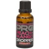 Starbaits Esence Probiotic Dropper peach mango 30 ml
