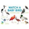Match a Baby Bird - Mike Unwin, Laurence King Publishing