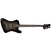 ESP LTD PHX-204DX Black Burst