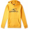 Detská Mikina O'NEILL O’NEILL LOGO HOODIE N4750004-17016 – Žltá
