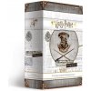 USAopoly Harry Potter Hogwarts Battle: Defence Against the Dark Arts