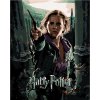 Plagát Harry Potter a relikvie smrti Hermiona, 40×50 cm, vypnuté plátno na rám 6066631