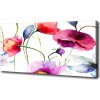 Foto obraz na plátne Maky 100x50 cm