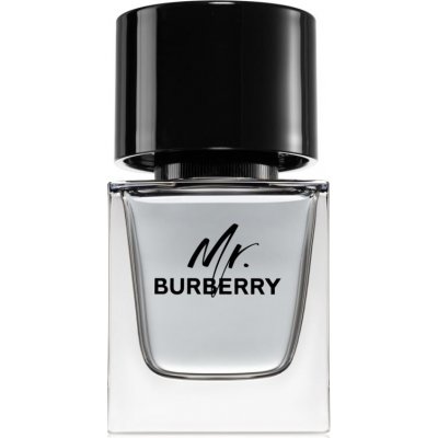 Burberry Mr. Burberry toaletná voda pre mužov 50 ml