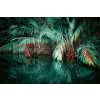 DIMEX | Vliesové fototapety na stenu Fantasy džungle MS-5-1592 | 375 x 250 cm | zelená, červená, čierna + Vliesová fototapeta na stenu DIMEX Fantasy džungle MS51592 v rozmere 375 x 250 cm
