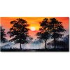 Foto obraz akrylové sklo Západ slnka les 100x50 cm