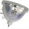 Lampa do projektora VIVITEK 5811119560-SVV, kompatibilná lampa bez modulu