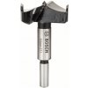 Bosch Ozdobný vrták z HM 50 x 90 mm, d 10 mm 1ks 2608597618