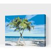 Vymalujsisam.sk Maľovanie podľa čísiel - Karibik Veľkosť: 40x50cm, Rám: Na kartónovej doske
