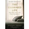 The Examined Life - Stephen Grosz