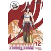 Fairy Tail Massiv 12 (Karsten Küstner,Gandalf Bartholomäus)(Brožovaná)