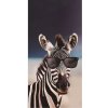 Gordon H93 Plážová osuška rýchloschnúca zebra 100 x 180 cm