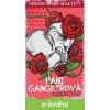 E-kniha Pani Gangstrová - Verona Štrba Škultéty