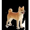 Animal Planet Pes Shiba Inu