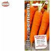 Mrkva neskorá DS Autmn King2 Vita Longa 3 g