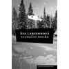 Sluneční bouře - Larssonová Asa
