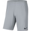 Šortky Nike Dri-FIT Park III Kids bv6865-012 Veľkosť S (128-137 cm)