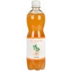 Stevikom Kombucha zázvorová s medovkou Bio 0,5 l