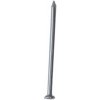 hřebík kolářský 36x1,6mm (1kg)