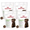 Royal Canin Digestion Adult Chews 4 x 160 g
