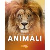 grande libro degli animali (Valentina Gottardi,Francesca Zardin)(Pevná)