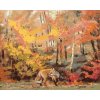ZUTY Maľovanie podľa čísel - LÍŠKA V LESE (D. RUSTY RUST) Rámovanie: vypnuté plátno na rám, Rozmer: 40x50 cm