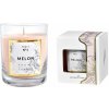 CLASSIC GLASS Melon 250g