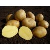 Sadbové zemiaky JELLY DE 35/60 - 2,5 kg