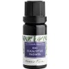 Nobilis Tilia Éterický olej BIO Eukalyptus radiata 5 ml